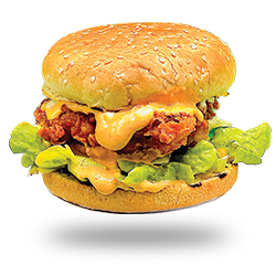 Chicken Burgers